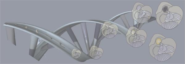 Academic Research in Computational Biology